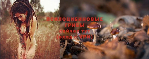 спиды Абинск