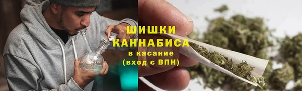 сатива Ветлуга