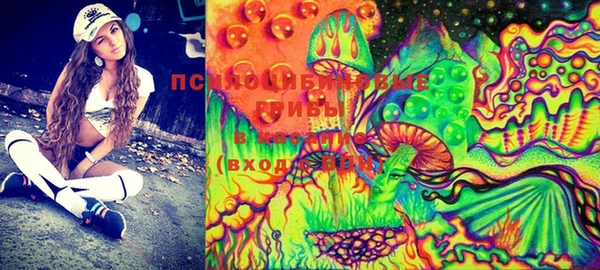 ECSTASY Абаза