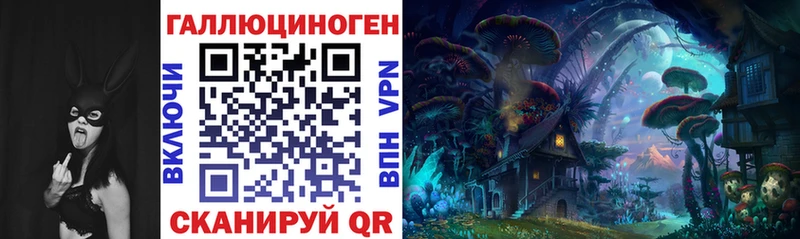 Псилоцибиновые грибы Psilocybe  Камышлов 