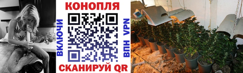 Бошки Шишки ГИДРОПОН  Камышлов 